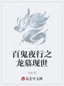 海贼王之圣骑士系统