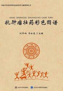 寂寞影恋