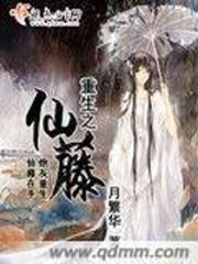 花之迷恋
