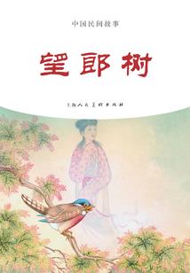 镜灵空间