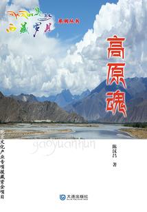假面骑士气人
