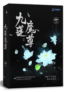 系统之善者