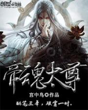 独霸君宠：皇上别这样