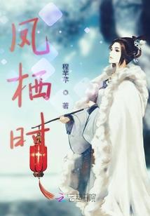 我的二次元麻烦