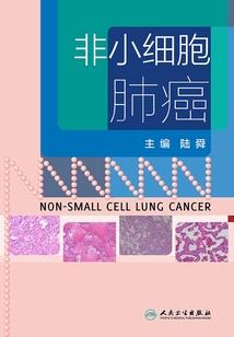 丸子酱的逆袭