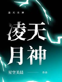 特工皇妃记之凤舞天下