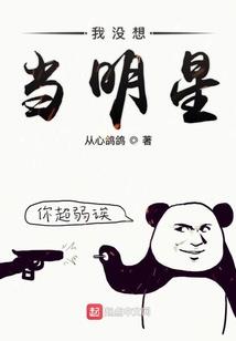 潜龙特攻
