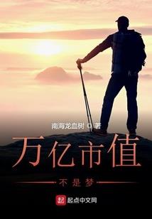 二手补天