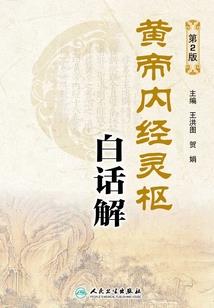绝世神偷之赤炼飞鹰