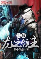 虚空之梦回天原