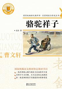 赛博朋克世界的底层赏金猎人