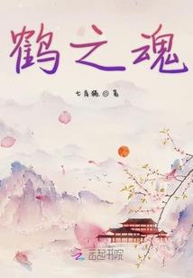 我是你看不见的红颜