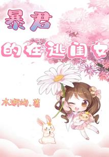 天道飞羽
