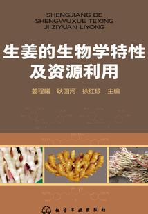 梦转术界