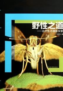 三世情殇:卿宸绝恋