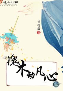 神印——醒灵书