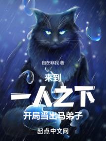 都市随身巅峰系统