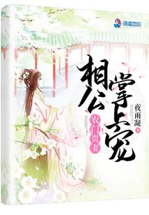 穿越之掠爱