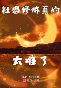 在海贼世界贸易