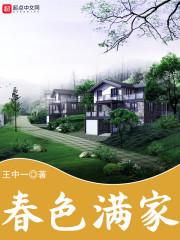 金戈记