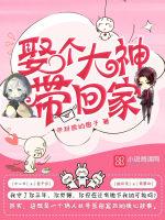 黑书：挂件