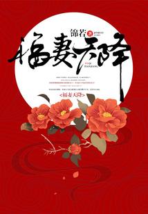 诺亚之诗