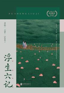 我有一个百宝袋系统