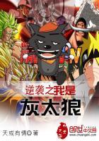 清妃逸