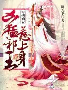 末世之术士宝典