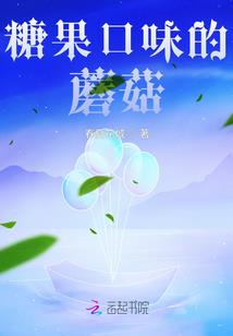 单车去哪儿