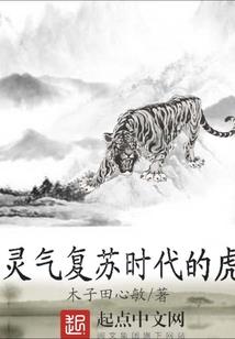 荡寇风云录