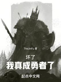 神奇宝贝之巅峰降临