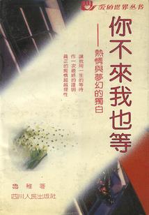 丫头我只要你一个