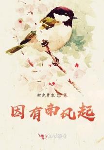梧桐飞花