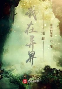 西门家法十三式
