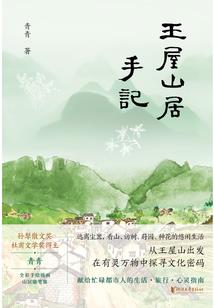 国师大人的绝色小废材