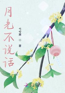 梦幻虚影(原名:修真神之网游)