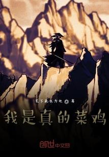 阴阳天戒