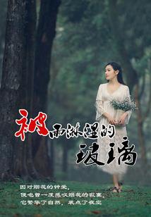 斗龙——极地特使