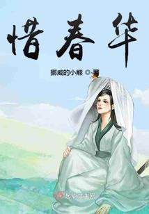 停留的智商