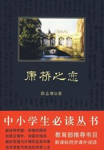 都市叶疯神