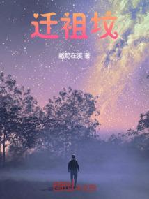 无道风华录