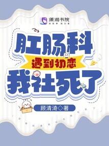 宠物小精灵之羽泉
