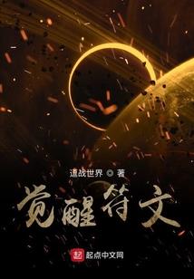 圣剑骑士系统
