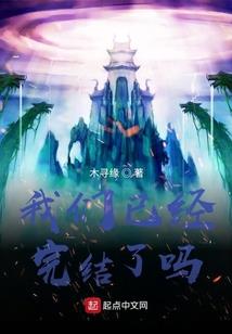 情缘面纱