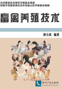 原来真的可以穿越
