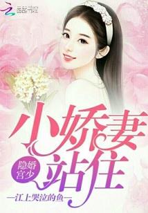 我的系统流
