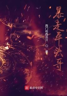 平行三号傻瓜