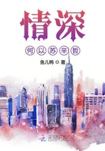 司南之缘