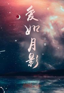 王爷，太无情